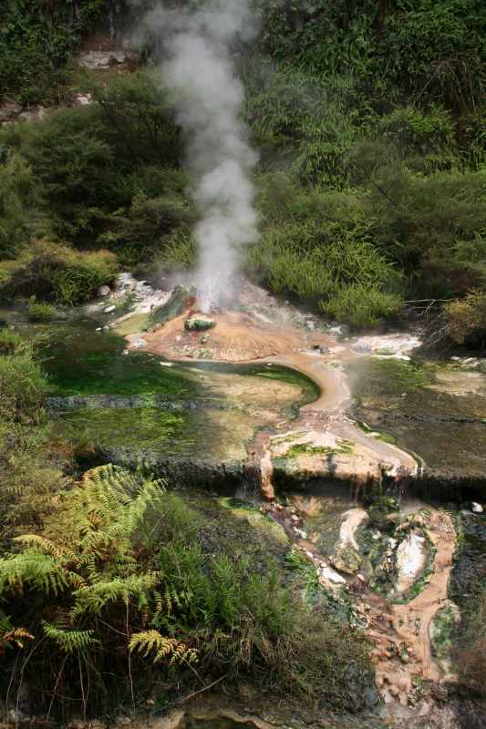 Nieuw-Zeeland 2011 - 0716